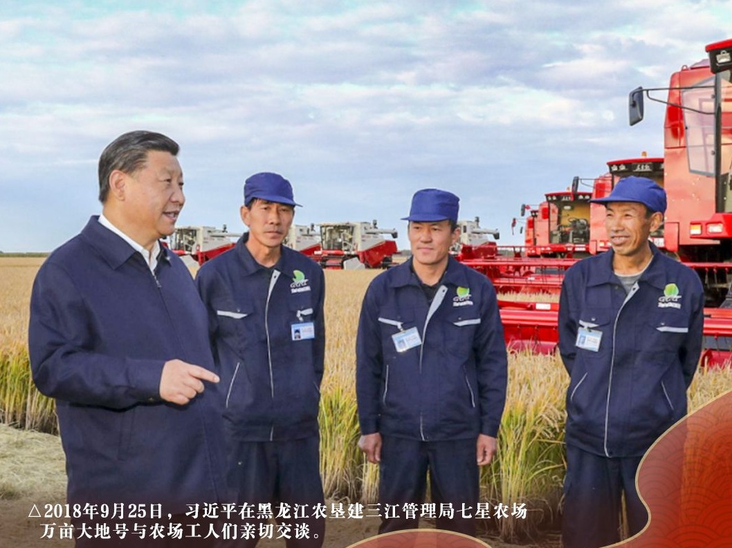 总书记带来幸福年丨农民笑了
