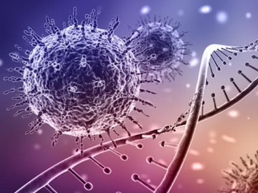 巴尔干国家出现南非发现的变异新冠病毒