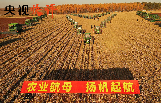 央视快评丨民族要复兴 乡村必振兴