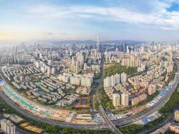 专家点赞特区报辛丑新春系列评论：为深圳续写更多“春天的故事”提供强大舆论支持