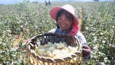 多个集体、个人受表彰，脱贫攻坚大考广州答卷亮眼
