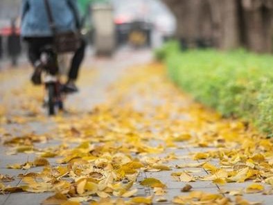 秋裤先别脱！多地有雨雪，局地降温超10℃！