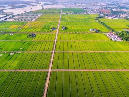2021年中央一号文件发布，历年一号文件重点都为你划出来了