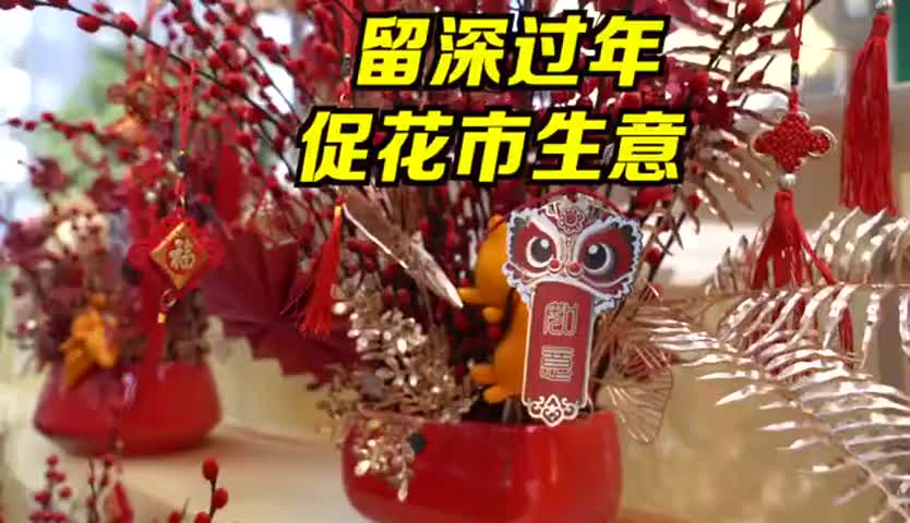 留深过年促花市生意  店家：蝴蝶兰、银柳更受欢迎 