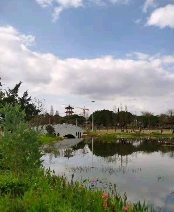 东莞茶山生态园景区图片