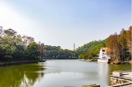 绝美湖景、落羽杉林，地铁直达的“隐世仙境”！戳进来！
