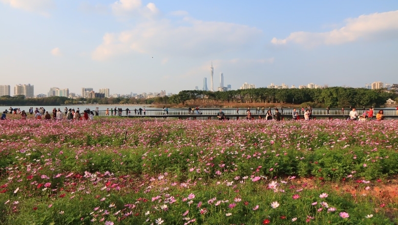 广州市海珠区主要景区春节接待旅客近20万人次