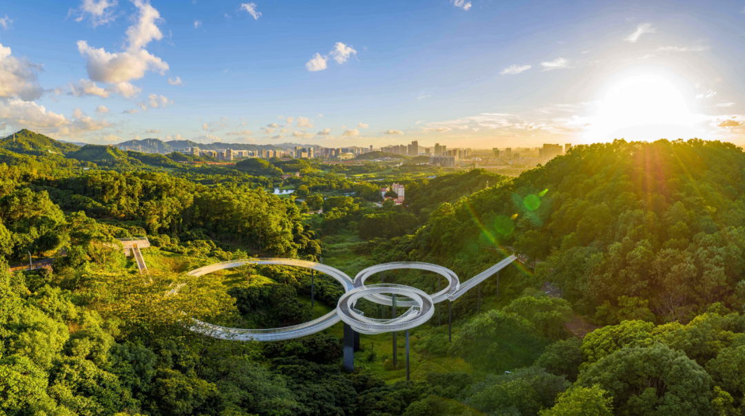 春节游光明，出行攻略来了！  大顶岭绿道、虹桥公园……戳这里一键预约！