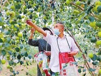 珠海种博会将在线上举办