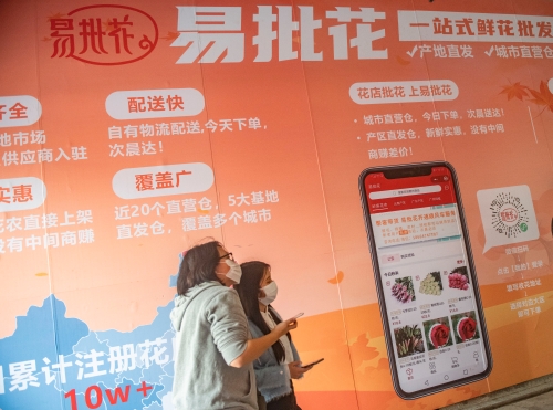广州11区各出奇招，协助花农年花销售