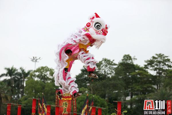福永舞狮之乡锣鼓格外响