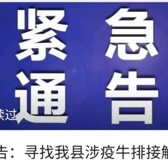 看电影要“抢票”？网友：想住电影院……但这里发紧急通告