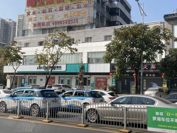 道路绿植枯萎 市民呼吁：绿植也要多养护