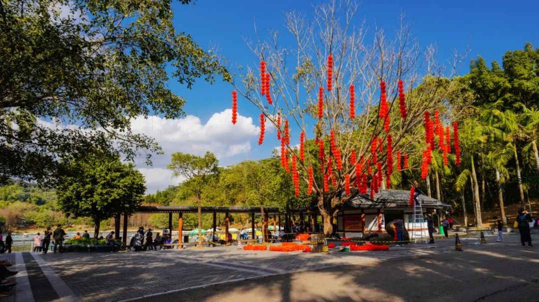 赏不完的公园美景、享不尽的生态福利！一起打卡“百园之区”