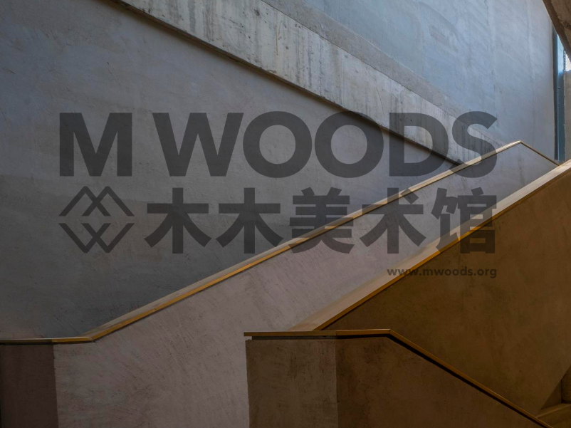 青年艺术家萨尔曼·托尔即将在木木美术馆举办亚洲首次个展