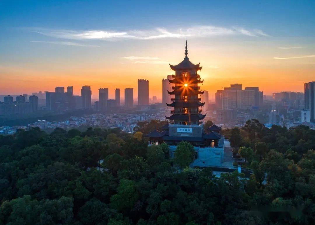 青山绿水就在你我身边 社会各界点赞纪录片《大美佛山》