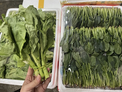 菜篮子里的“春天”：深圳春季蔬果密集上市，价格稳中趋降