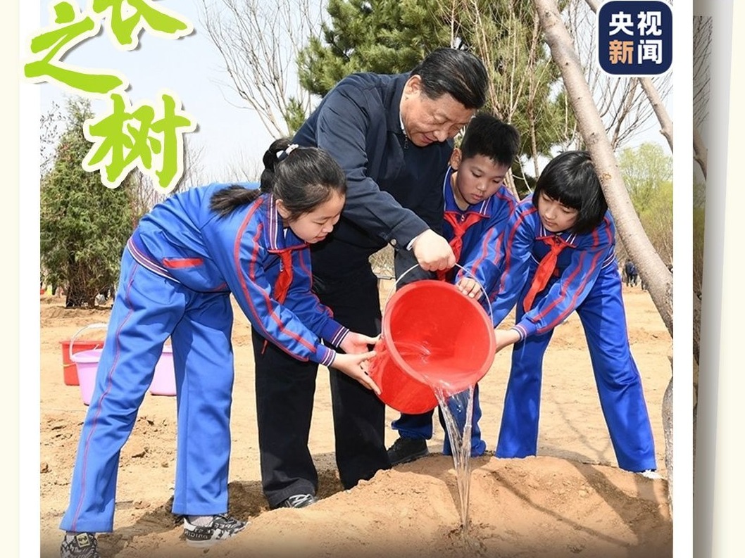 众人植树树成林