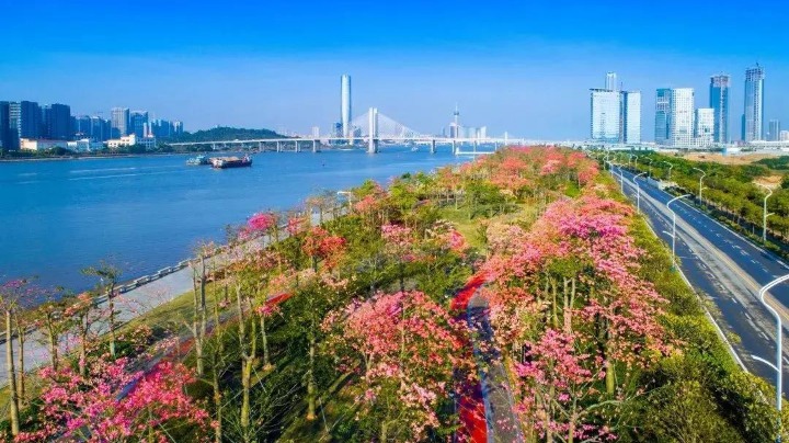 珠海公共服务满意度全省第一！