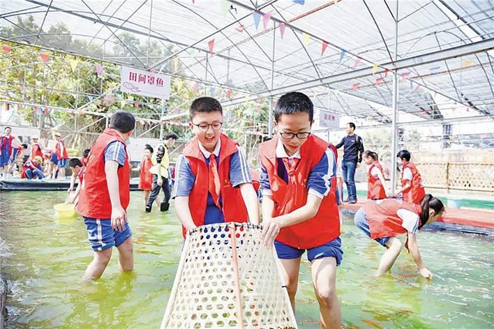 社会实践花样翻新 弘雅学子体验农趣时光