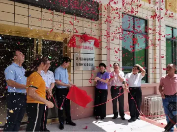 深河共建 圳在帮扶︱深圳交易集团在河源红阳村创新绿色生态扶贫新模式