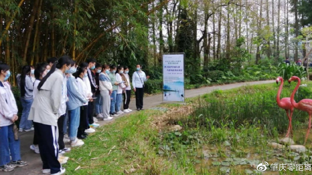 广东省“爱鸟周”宣传活动在肇庆市星湖景区举办