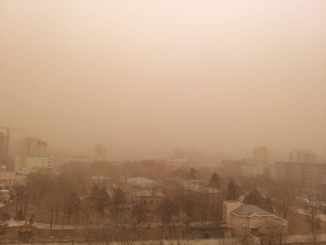 蒙古国中戈壁省近期强沙尘暴天气致16万头牲畜死亡
