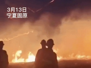 6人受伤2人死亡！宁夏固原市一林场发生火情 