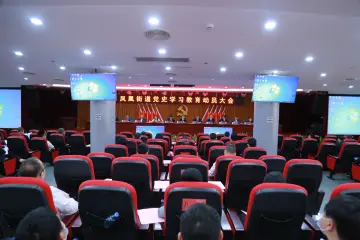 凤凰街道动员部署党史学习教育        
