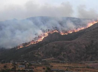 国家林草局：今春部分地区森林草原火灾风险加大