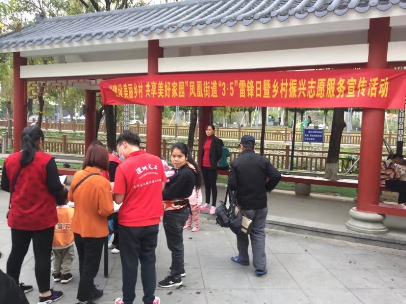 凤凰街道20名居民学雷锋，加入乡村振兴志愿服务队