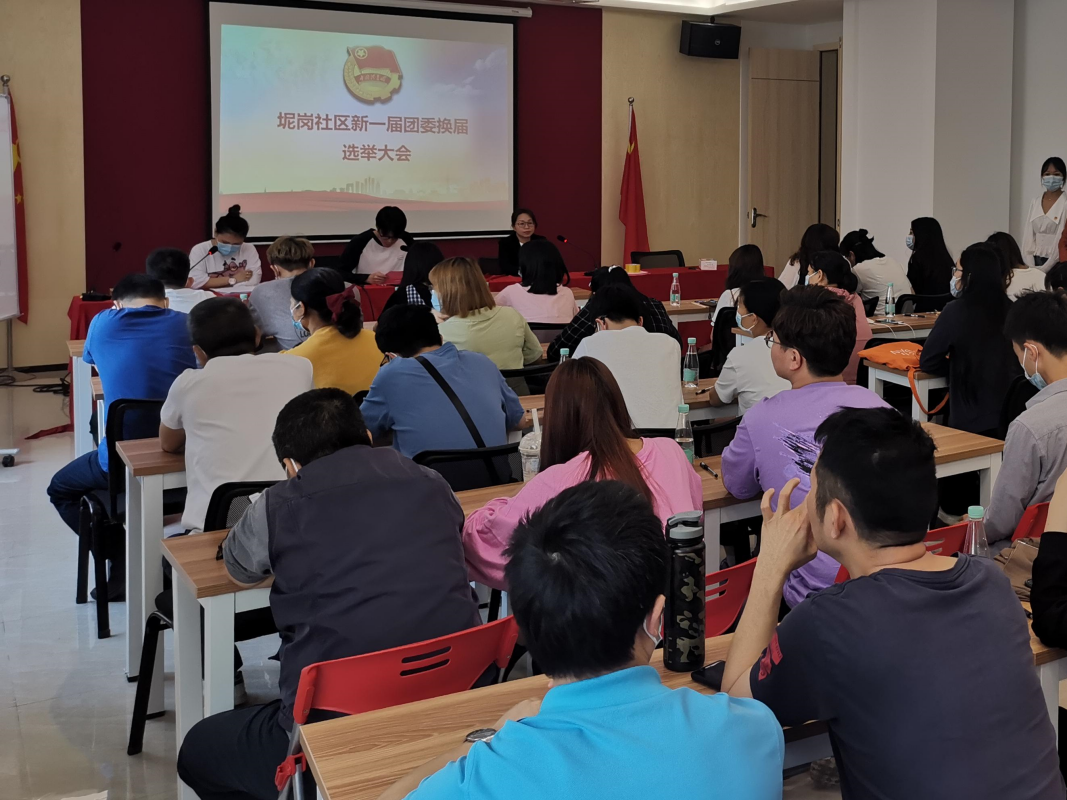 罗湖坭岗社区召开团委换届选举大会暨党史学习教育会