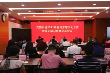 龙田街道召开2021年宣传思想文化工作暨党史学习教育动员会议