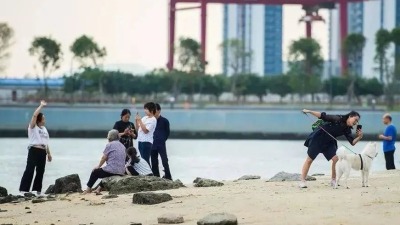 深圳湾、前海人工沙滩已开展前期工作，未来南山有望增添两个好去处
