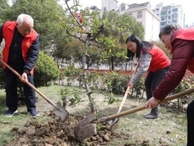 中国迎第43个植树节，大规模国土绿化行动面临哪些新形势？