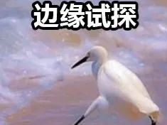按摩也有假？冒牌“谭氏正骨”被判赔8万元