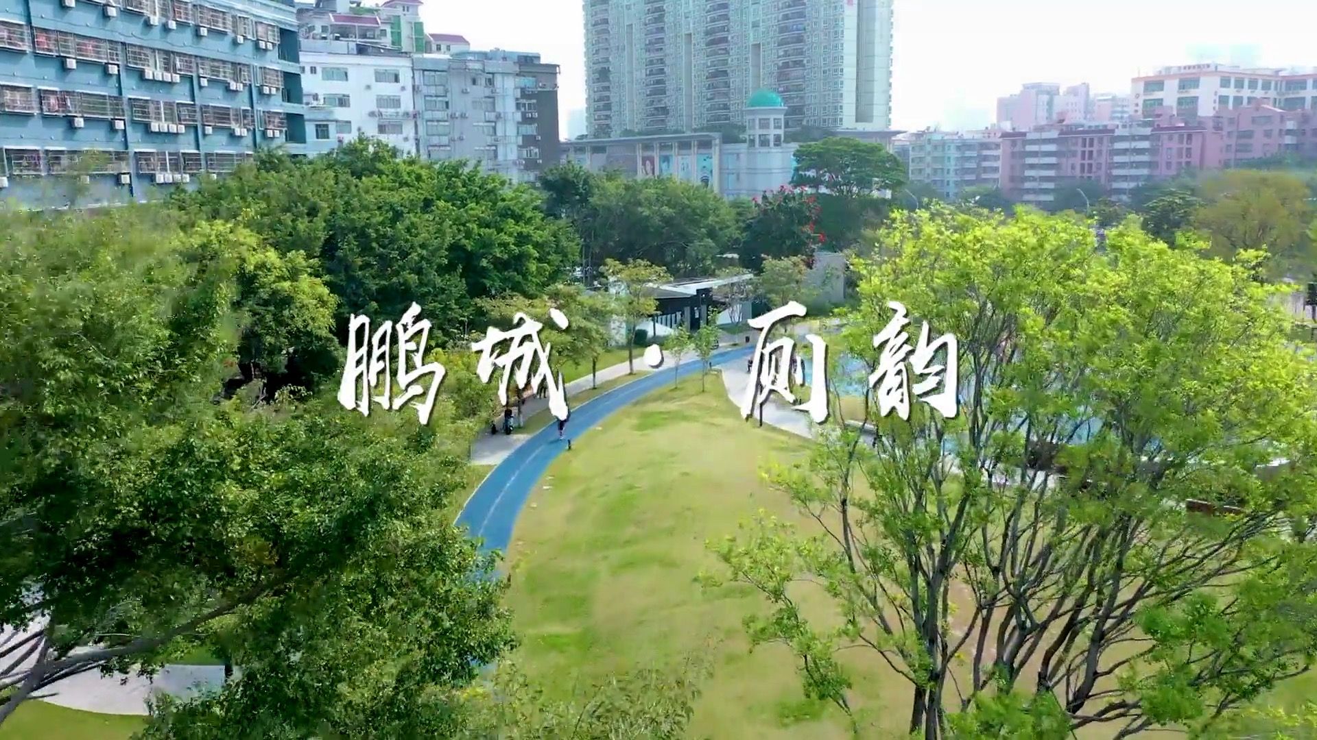 这个深圳公厕的片子，越看越有味儿