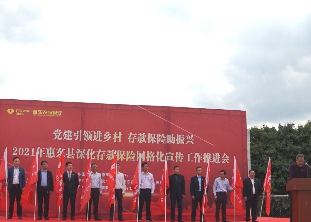 为乡村振兴保驾护航！惠州市惠东县推进存款保险网格化宣传