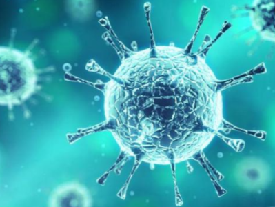 中国-世卫组织新冠病毒溯源联合研究报告发布 