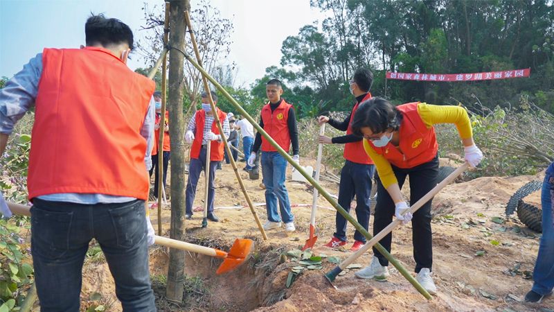 植树节：东湖公园增添450株宫粉紫荆，绿色环保融入罗湖人日常生活 