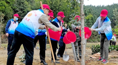 党团员青年志愿者共植公益林，200棵树苗在革命旧址“安家”