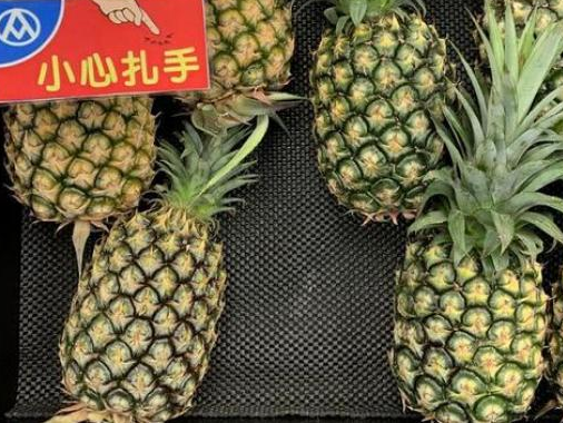 大陆暂停台湾地区菠萝输入，国台办：正常生物安全防范举措，科学合理