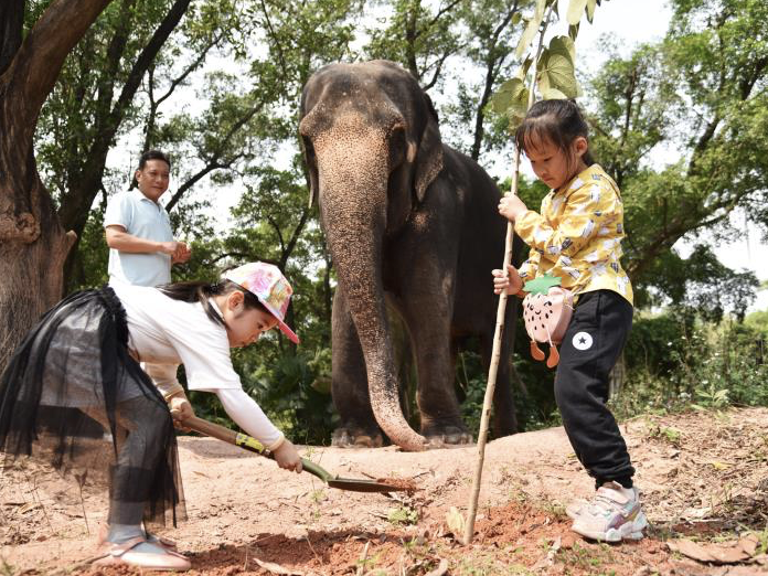 你植树，它浇水！深圳野生动物园的大象萌翻了
