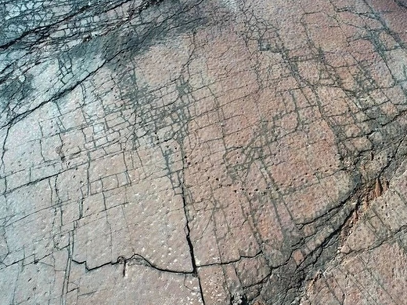 古生物学家发现并确认中国最大恐龙足迹点