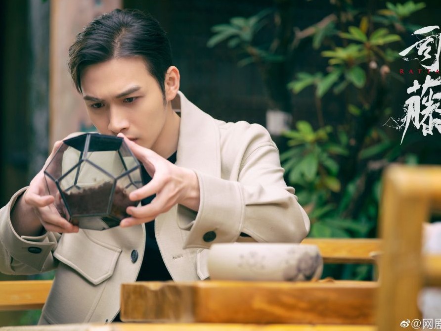 《司藤》：人设带感，剧情还可以加把劲