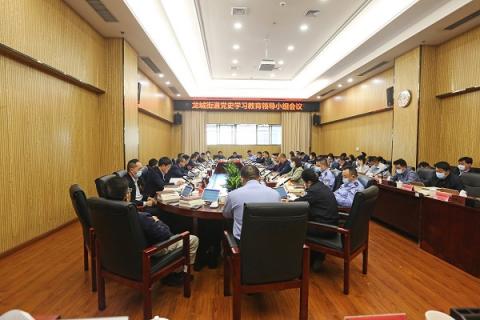 龙城街道召开党史学习教育领导小组会议