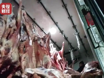 央视3.15晚会 | 又见瘦肉精！瘦肉精羊流向多地