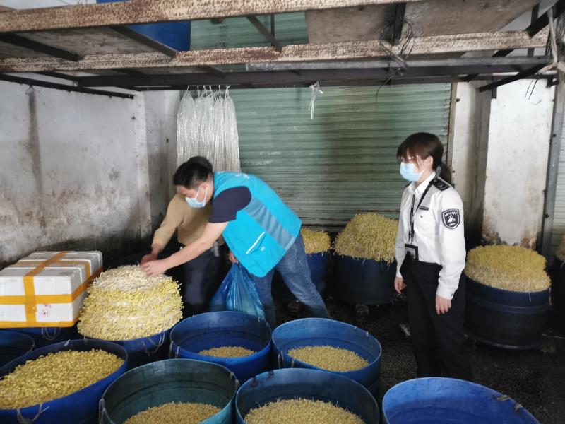 光明马田市场监管所开展豆芽质量安全专项治理行动