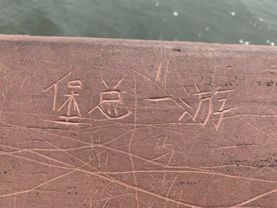 这种行为不该有！深圳湾观桥公园成了游客“涂鸦长廊”  