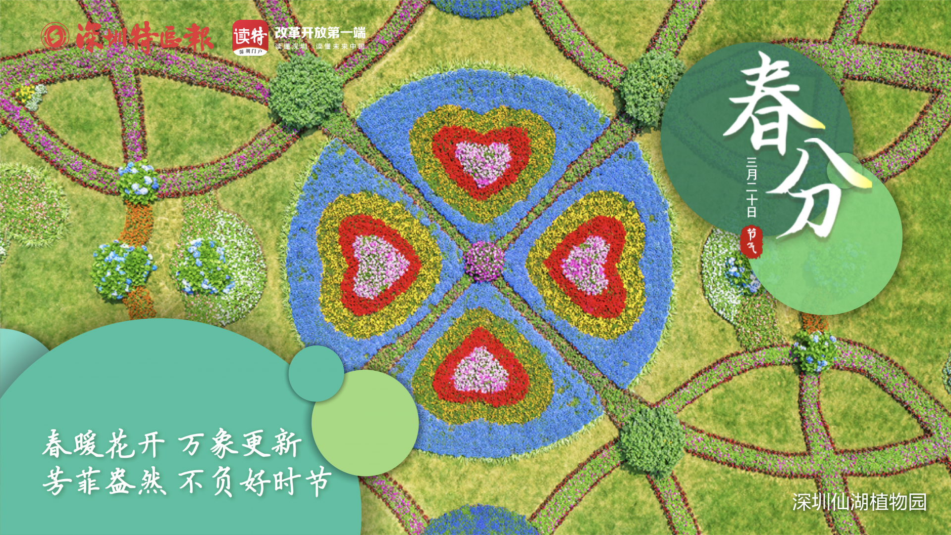 今日春分 | 深圳遇见春天 成了花开的样子